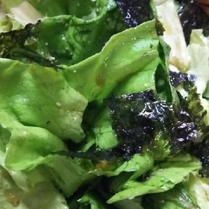 サラダ菜deチョレギサラダ